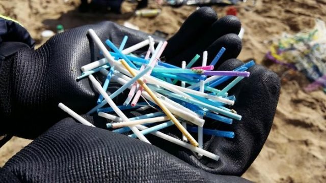 Presentata a Pesaro un'indagine di Legambiente, trovati 11.274 rifiuti in 13 spiagge da nord a sud della regione
