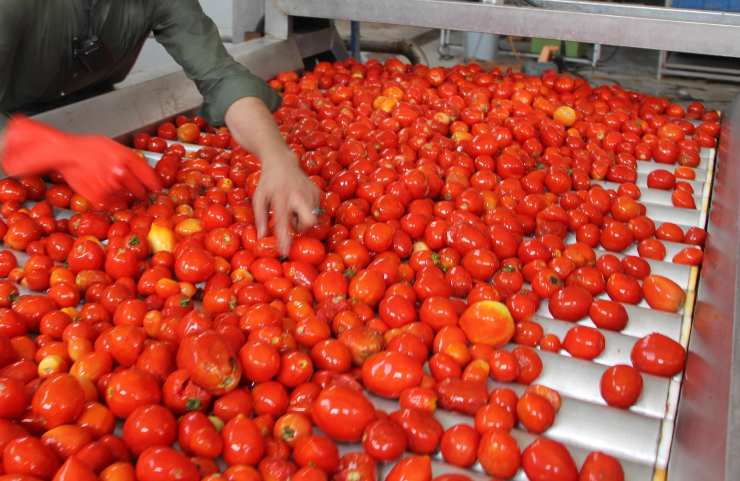 Pomodori come mangiarli per salute