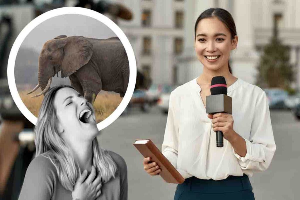 elefante interrompe reporter