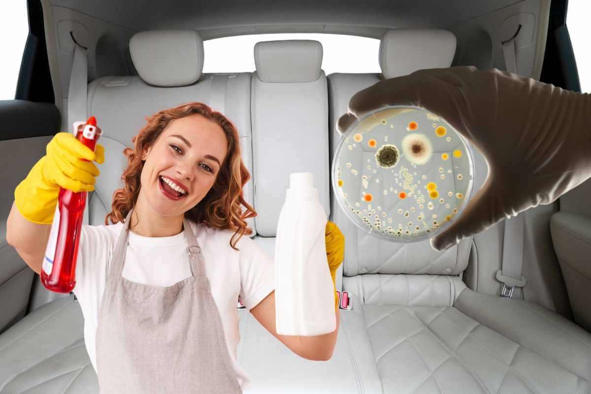 auto batteri: spray per pulire