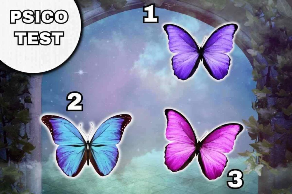 test del disincanto, scegli una farfalla