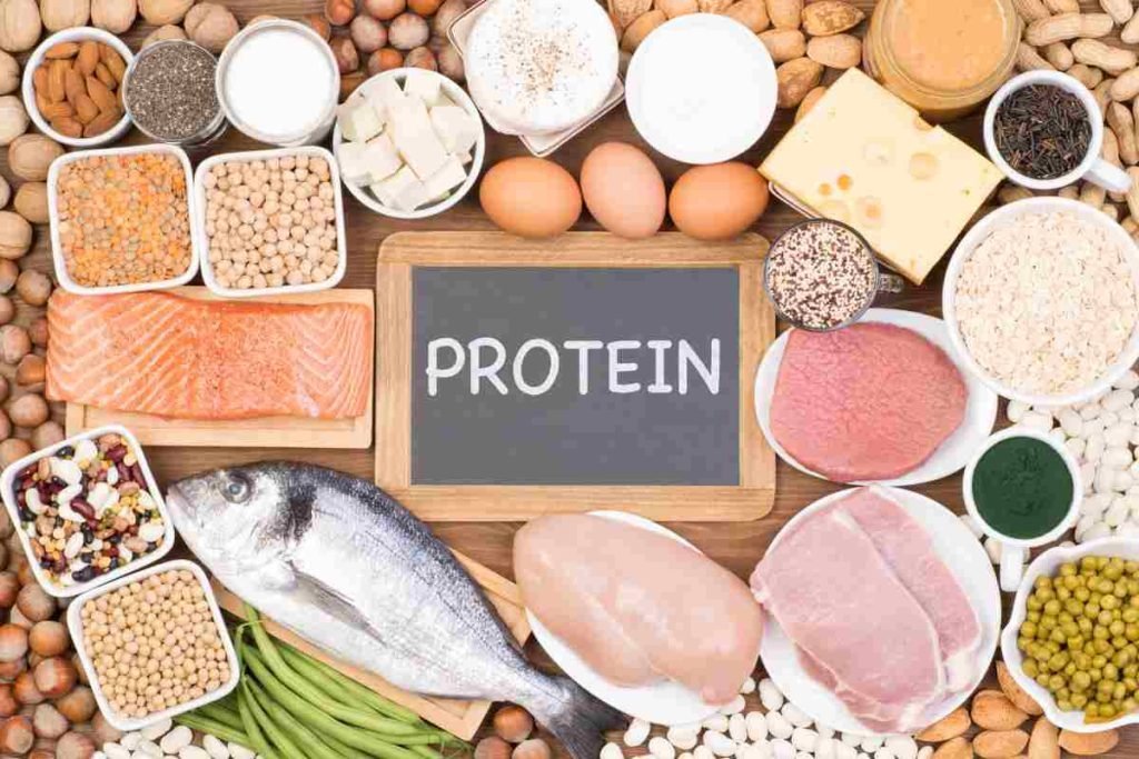 Proteine nell'alimentazione