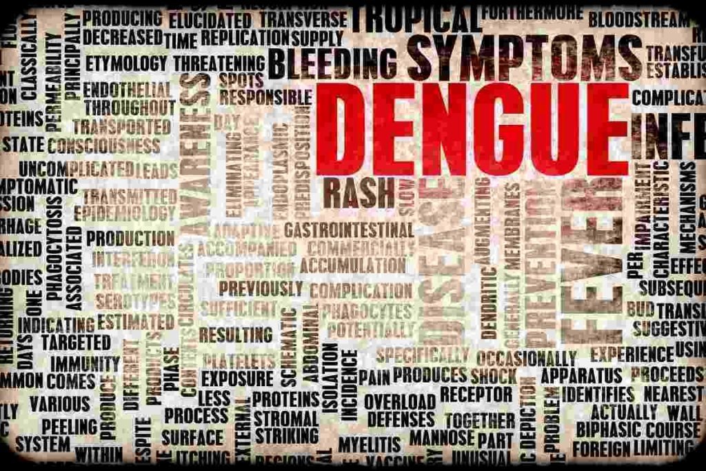 che cos'è virus dengue