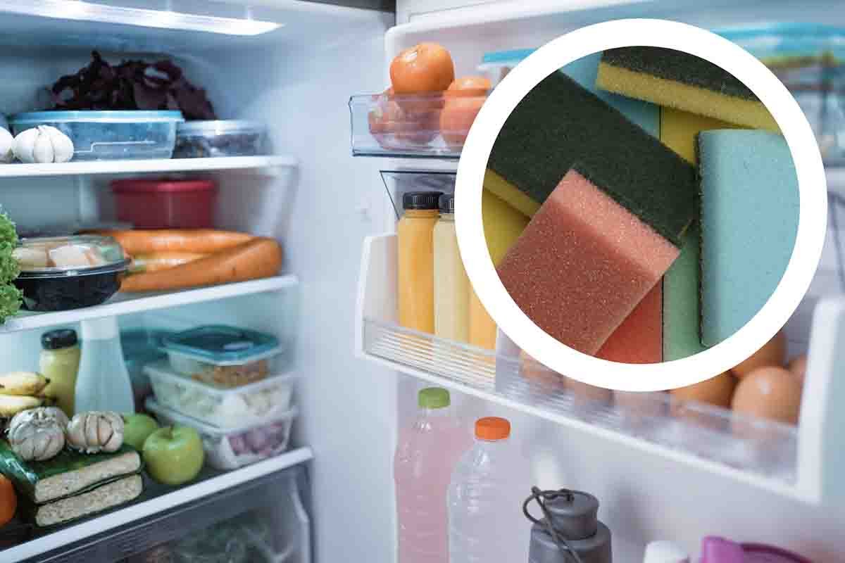 Benefici spugne nel frigorifero