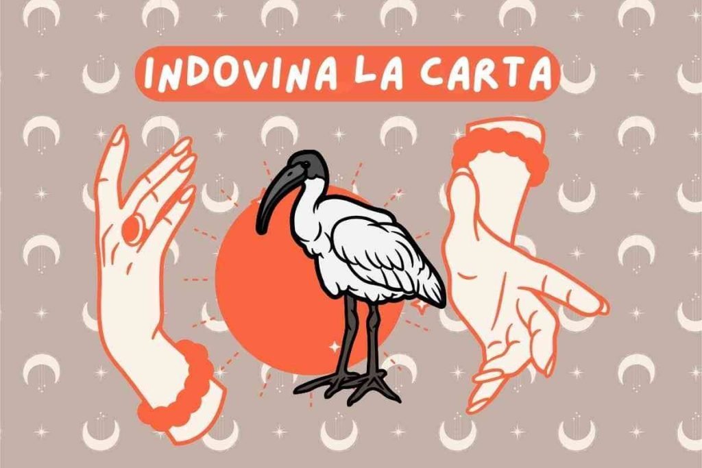 Indovina la carta