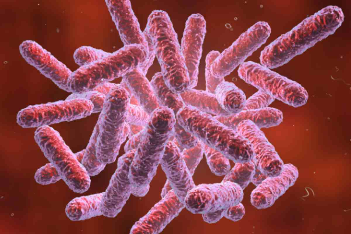 Registrati 3 nuovi casi di Citrobacter