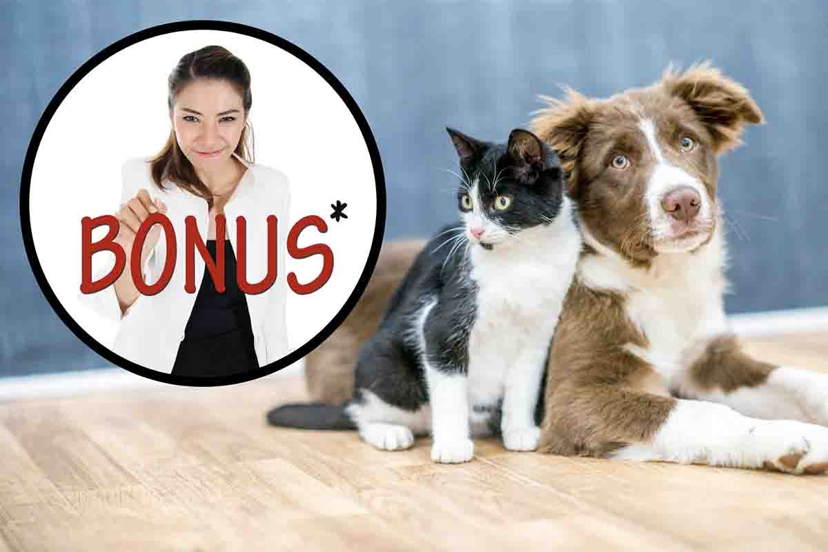 Come accedere al Bonus animali domestici