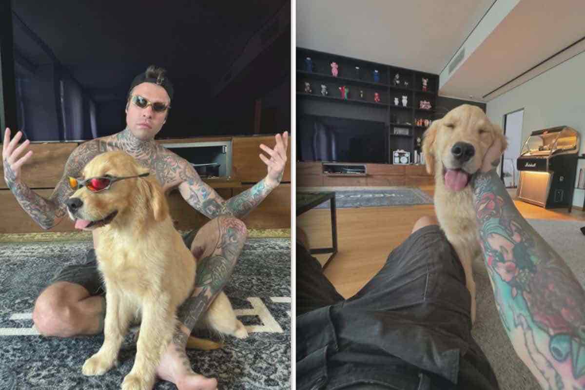 Fedez condivide una foto che fa discutere