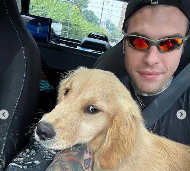 Fedez mostra a tutti il nuovo cane