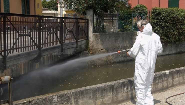 disinfestazione ascoli 