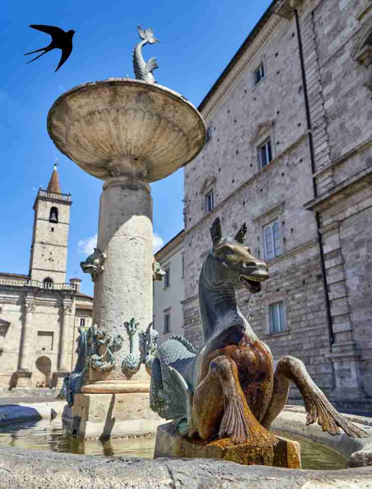 piazza arringo Ascoli 