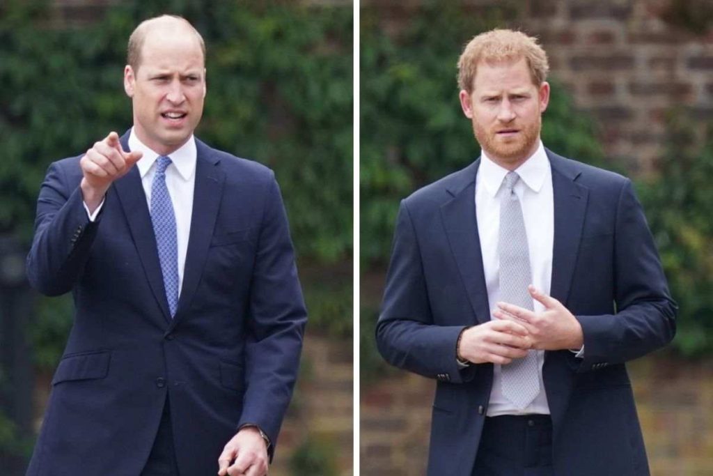 William e Harry riavvicinati da un grande dolore