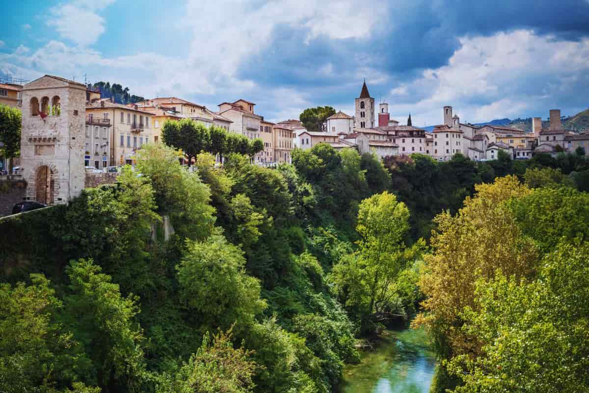 ascoli alberi