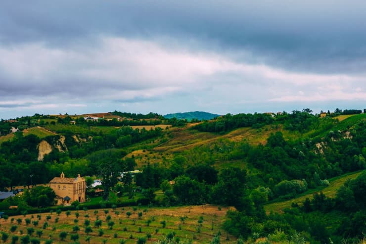 bernardella ascoli piceno