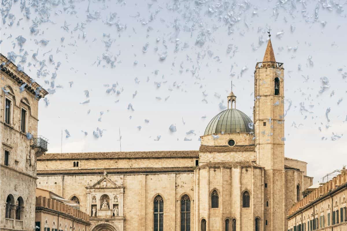 neve ascoli