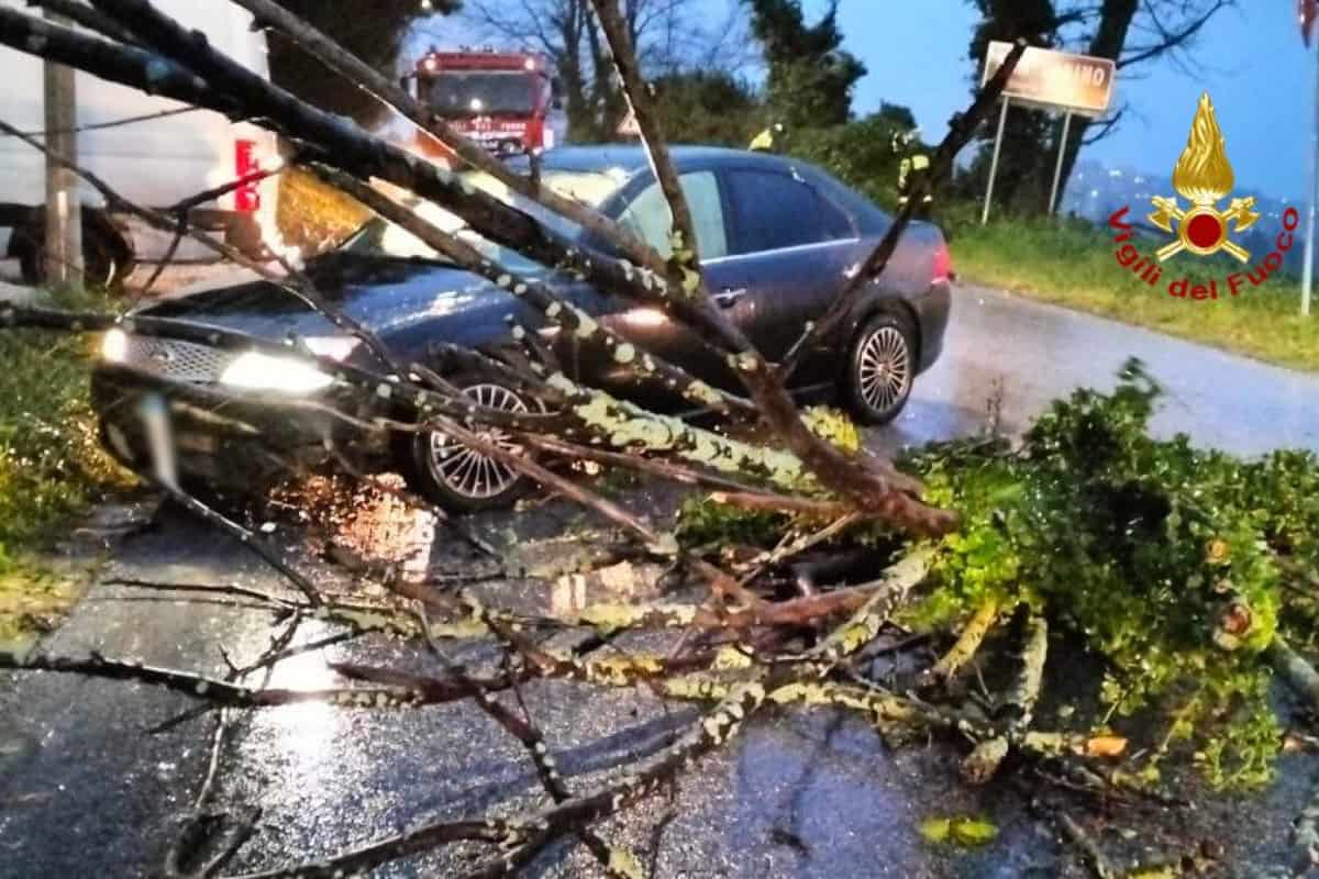 vento forte marche maltempo vigili del fuoco