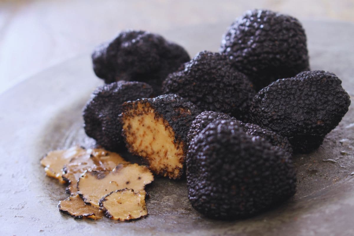 tartufo nero