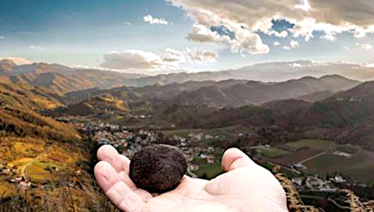 tartufo nero roccafluvione