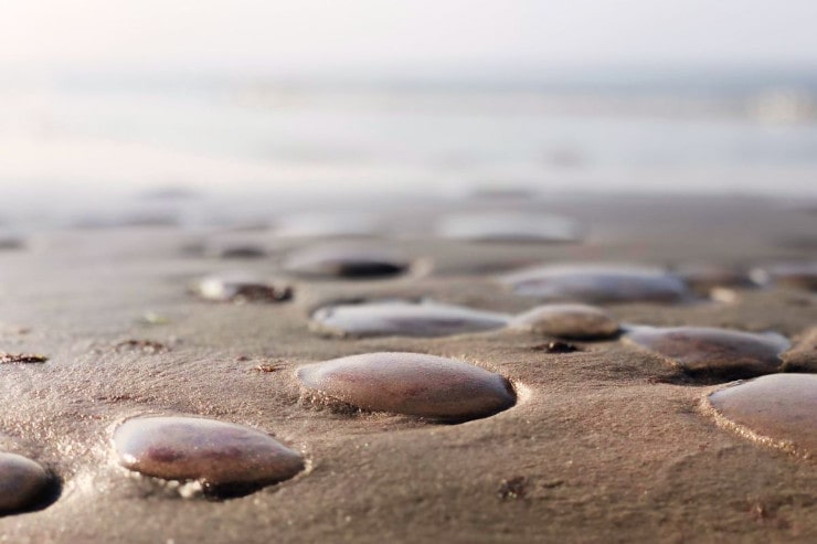 meduse spiaggia
