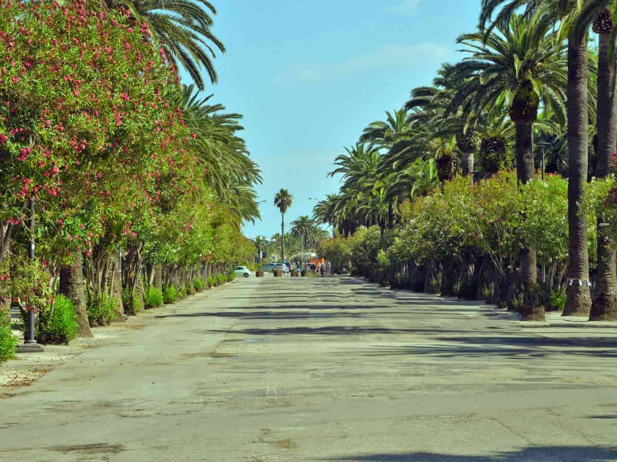 san benedetto del tronto