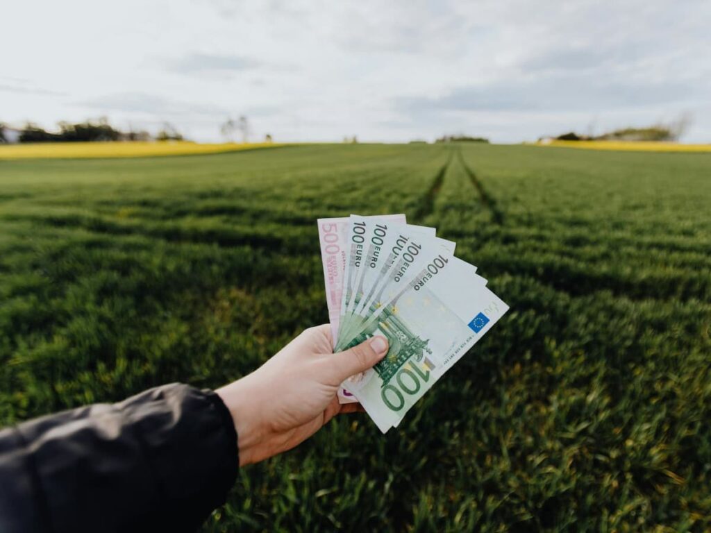 soldi mano campo