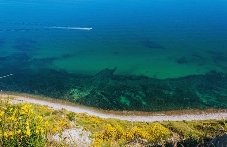 parco san bartolo