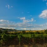 ascoli piceno campagna