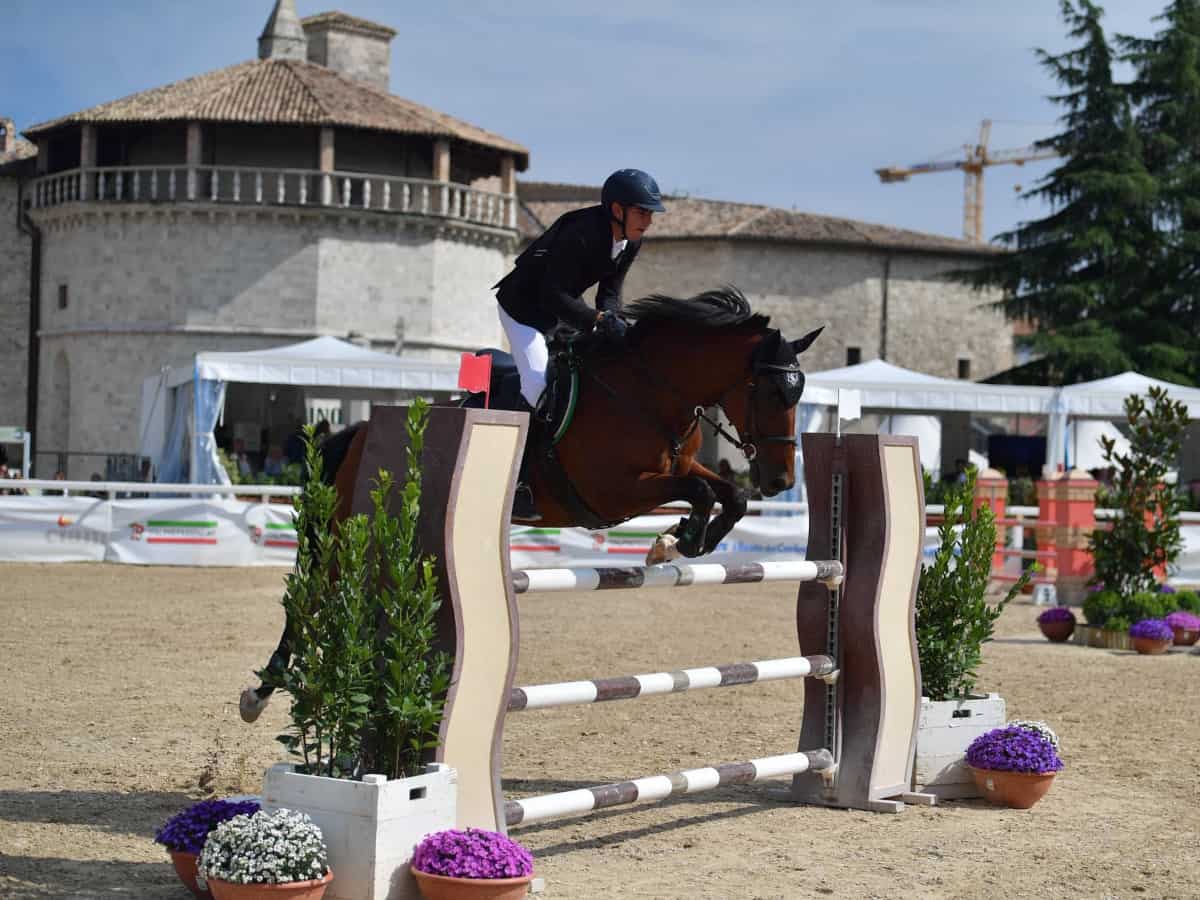 concorso ippico ascoli