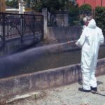 disinfestazione