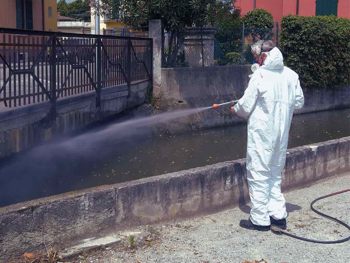 disinfestazione