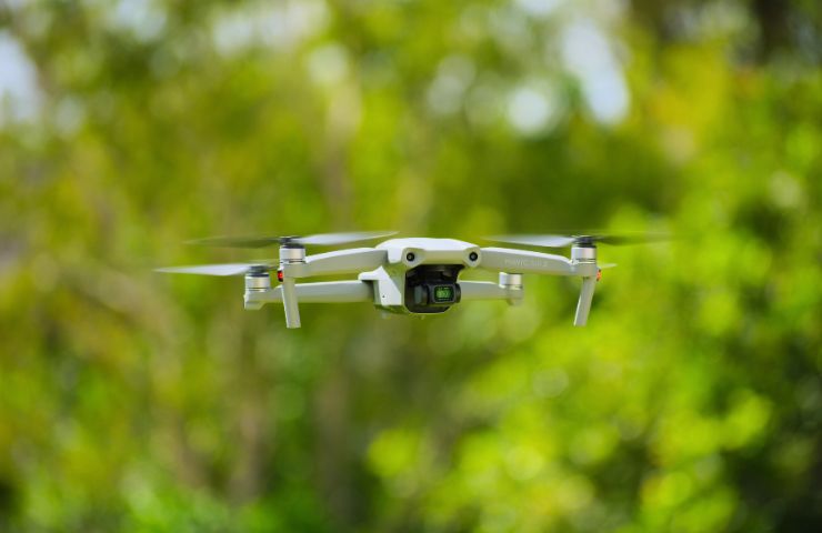 drone alberi