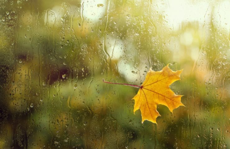 meteo autunno pioggia