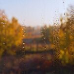 meteo pioggia autunno