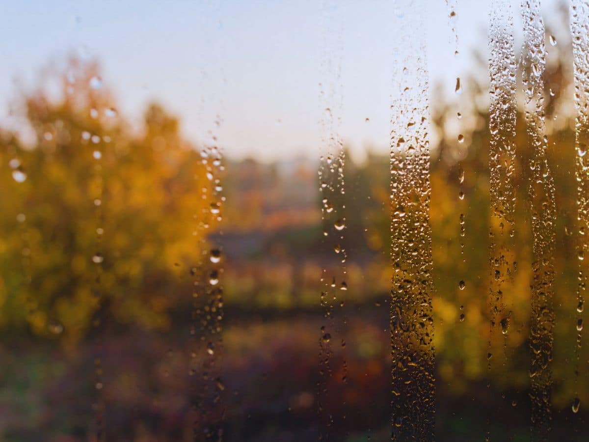 meteo pioggia autunno
