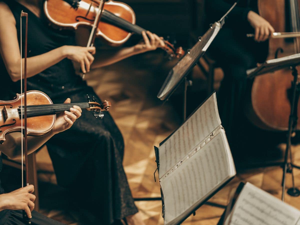quartetto archi musica camera