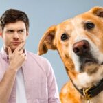 sfondo cane con testa inclinata e uomo che pensa
