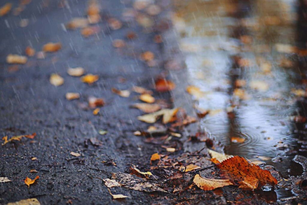 meteo pioggia autunno