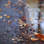 meteo pioggia autunno