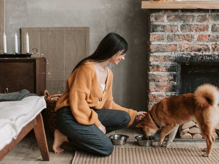 donna accarezza cane in soggiorno