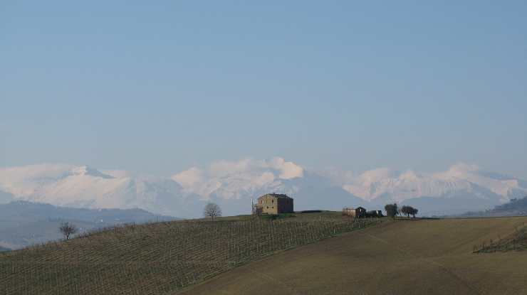 casetta nella natura