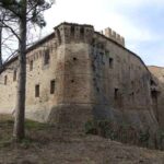 un edificio tra gli alberi