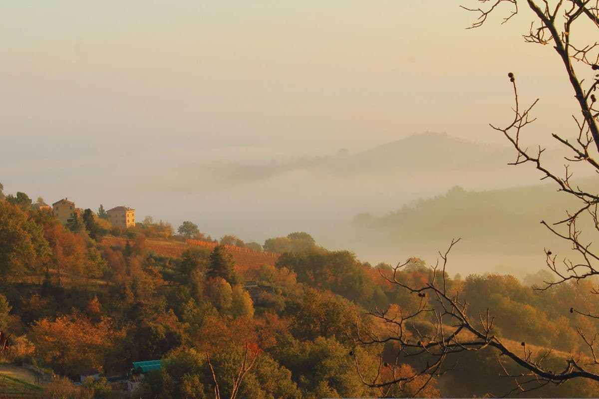 marche paesaggio inverno