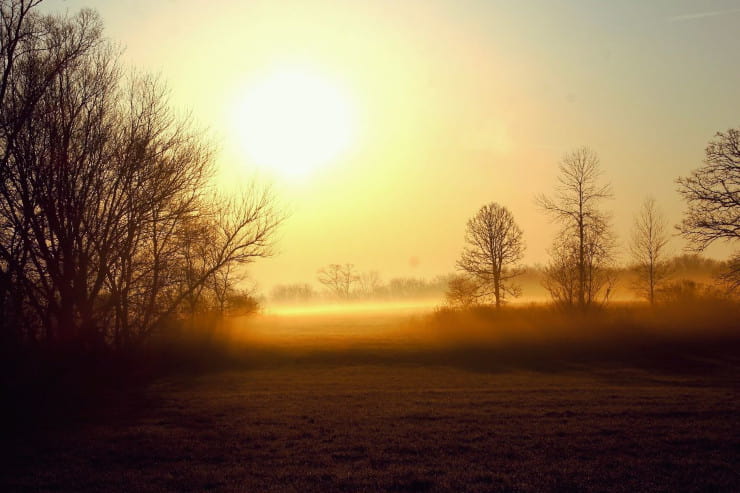 nebbia sole inverno
