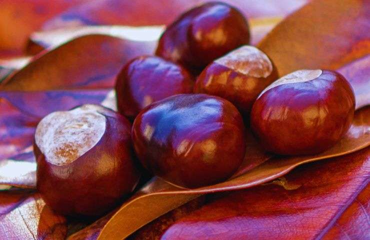 castagne