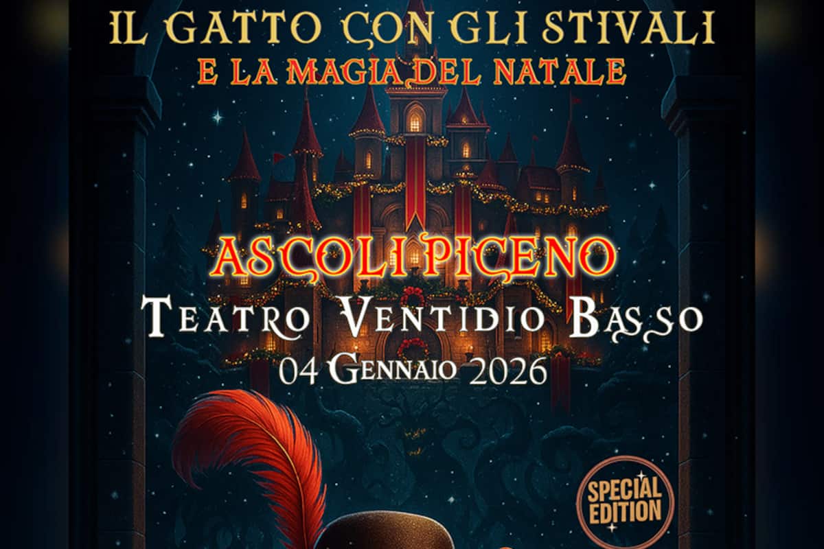 gatto stivali natale